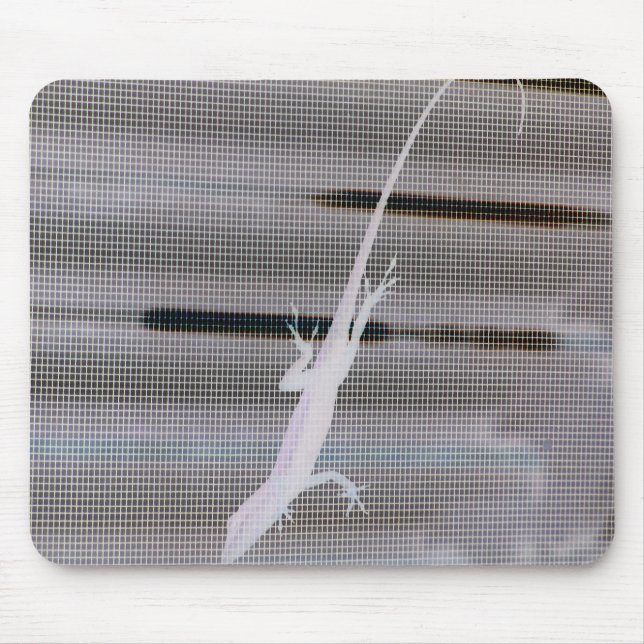 Negatives Bild einer Eidechse auf einem Fenster Mousepad (Vorne)