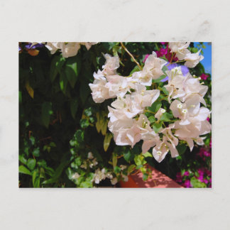 Negril, Jamaika Postkarte