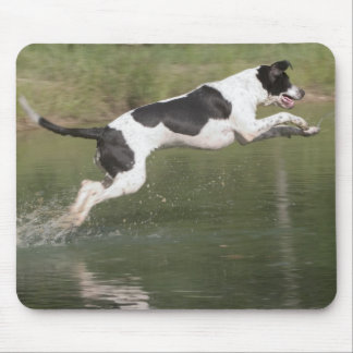 Nehmen eines Tauchens Mousepad