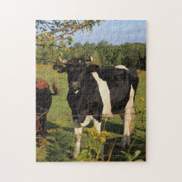 Nehmen Sie den Stier durch die Hörner