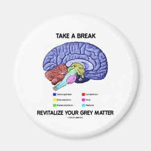 Nehmen Sie eine Pause und beleben Sie Ihre graue M Magnet