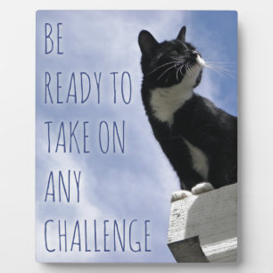 Nehmen Sie jede Challenge motivierend Katze Fotoplatte