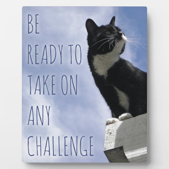 Nehmen Sie jede Challenge motivierend Katze Fotoplatte (Vorderseite)