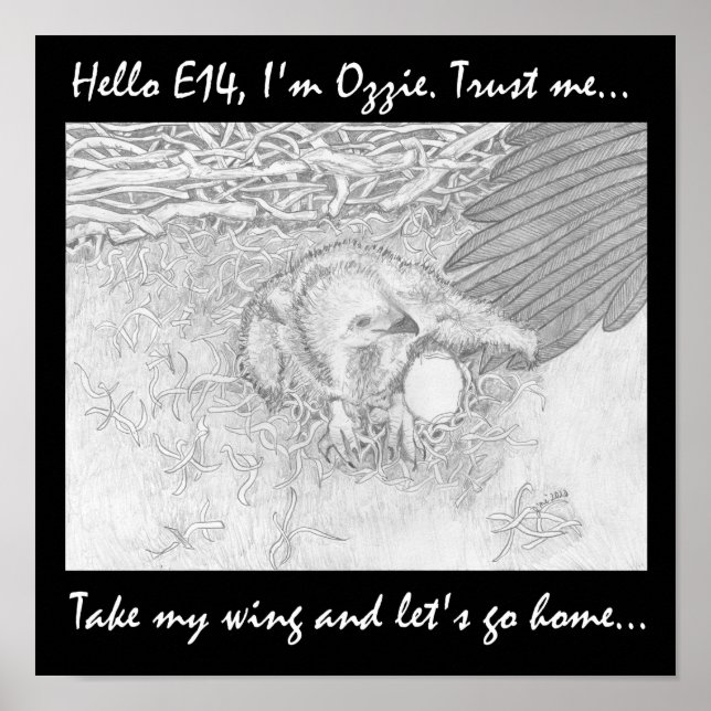 NEHMEN SIE MEINE WING LET'S GO ZUHAUSE RETT WILDLI POSTER (Vorne)