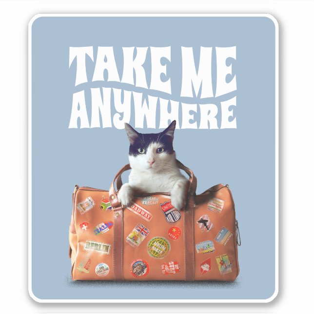 NEHMEN SIE MIR JEDERZEIT REISEKOSTEN KATZE AUFKLEBER (Vorderseite)