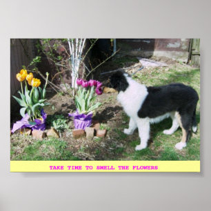 NEHMEN SIE SICH DIE ZEIT, UM DIE BLUME ZU SCHMELEN POSTER