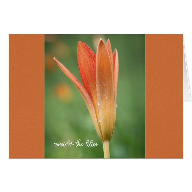 Nehmen wir die lilies fade Parakaleo-Notizkarte (Vorderseite (Horizontal))