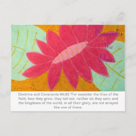 Nehmen wir die Postkarte Lilies D&C