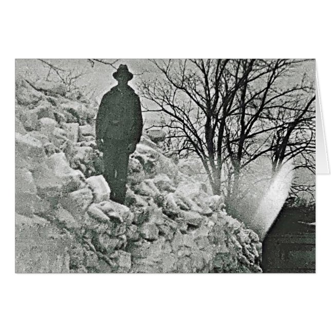 Neige (Devant Horizontal)