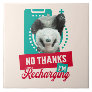 Nein danke, ich lade Panda Bear Cub Battery wieder Fliese