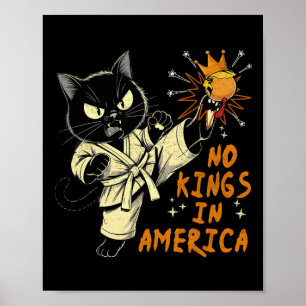 Nein, keine Könige in Amerika, lustiger Trump, wir Poster