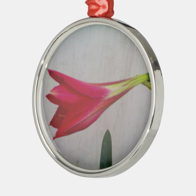 Nekklace Silbernes Ornament (Links)