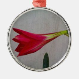 Nekklace Silbernes Ornament