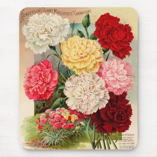 Nelken-Samenpackung-Mauspad Mousepad (Vorne)