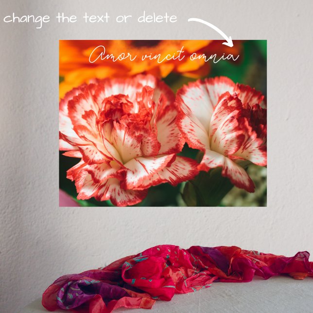 Nelken und Gerbere Poster (Von Creator hochgeladen)