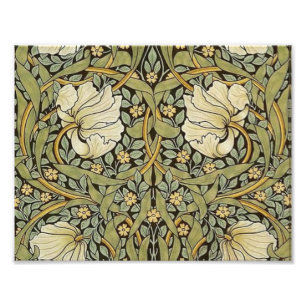 Nelkenpfeffer William Morris Fotodruck