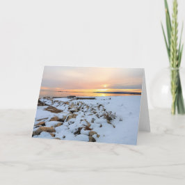 Nelson Park Plymouth Massachusets Karte