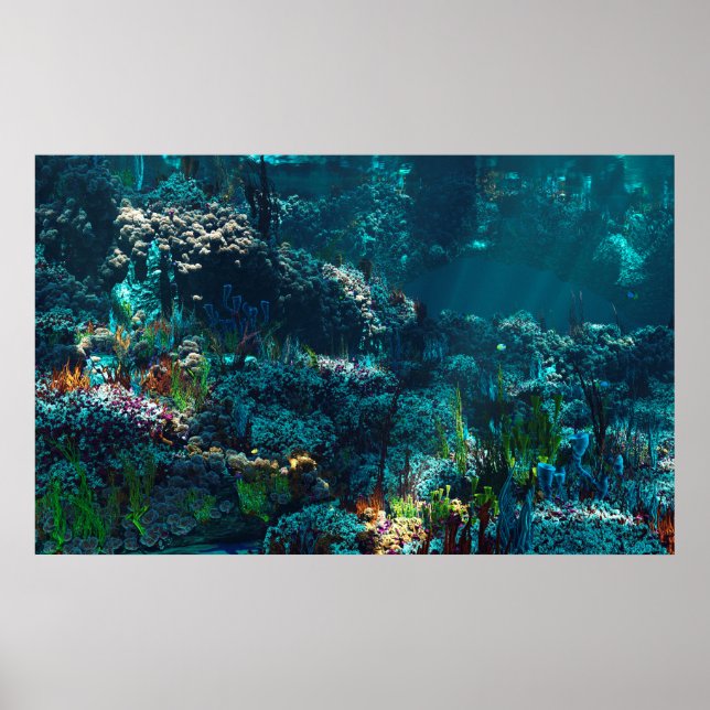 Nemo-Garten Poster (Vorne)