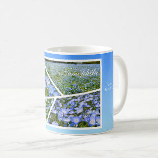 NEMOPHILA（Baby Blue Eyes）  Kaffeetasse
