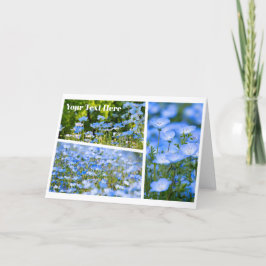 NEMOPHILA(Baby Blue Eyes) Karte