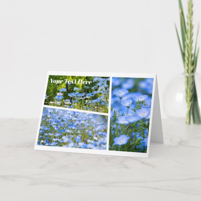 NEMOPHILA（Baby Blue Eyes） Karte (Vorderseite)
