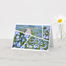 NEMOPHILA(Baby Blue Eyes) Karte