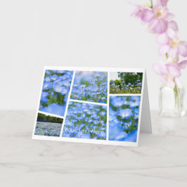 NEMOPHILA(Baby Blue Eyes) Karte