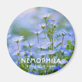 NEMOPHILA (Baby Blue Eyes) Magnet