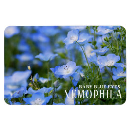 NEMOPHILA (Baby Blue Eyes) Magnet
