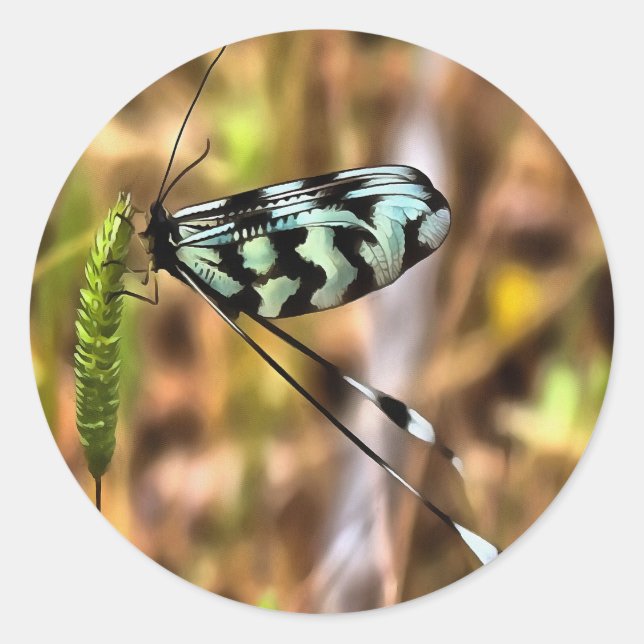Nemoptera bipennis Spoon-Winged Insekt Art Runder Aufkleber (Vorderseite)