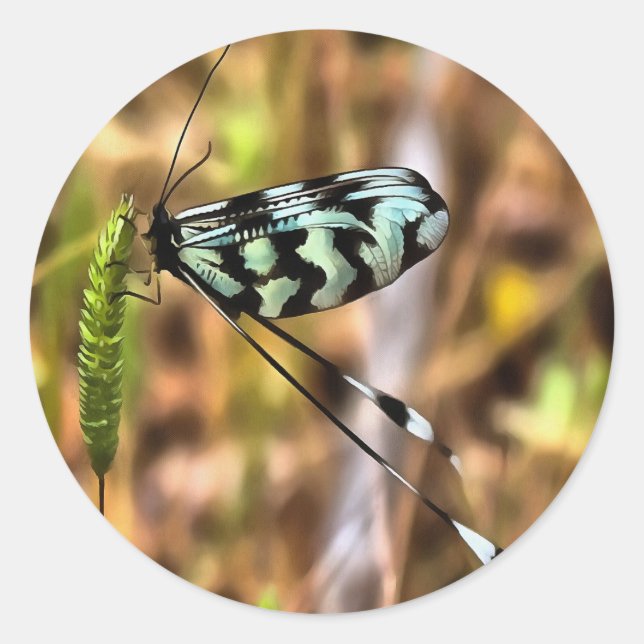 Nemoptera bipennis Spoon-Winged Insekt Art Runder Aufkleber (Vorderseite)
