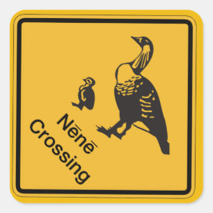 Nene Crossing, Traffic Warning Sign, Hawaii, USA Quadratischer Aufkleber