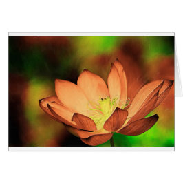 Nénuphar en huile
