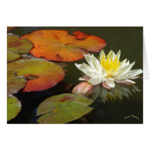 NÉNUPHAR I