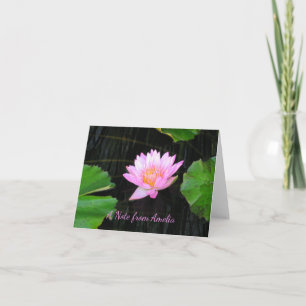 Nénuphar rose Lotus