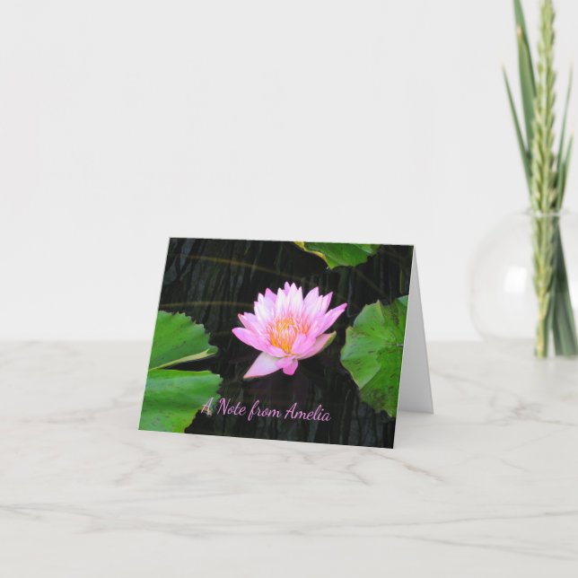 Nénuphar rose Lotus (Devant)