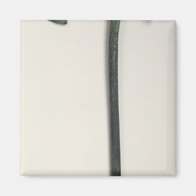 Neolithische Axt, 2000-1800 v. Chr. Magnet (Vorne)