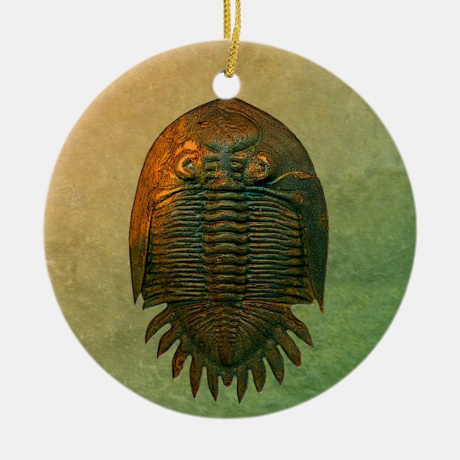 Neometacanthus Fossil Trilobit Keramikornament (Vorne)