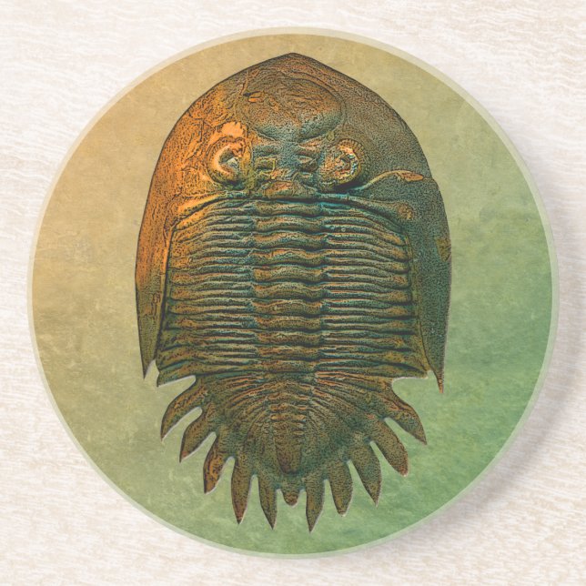 Neometacanthus Fossil Trilobit Sandstein Untersetzer (Vorne)