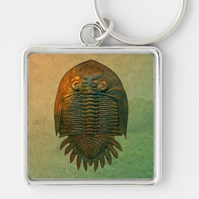 Neometacanthus Fossil Trilobit Schlüsselanhänger (Vorne)