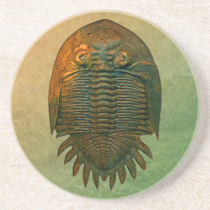 Neometacanthus Fossil Trilobite Sandstein Untersetzer