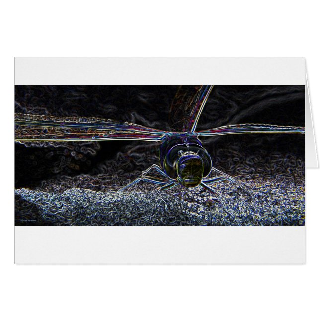 Néon 2 de libellule (Devant horizontal)