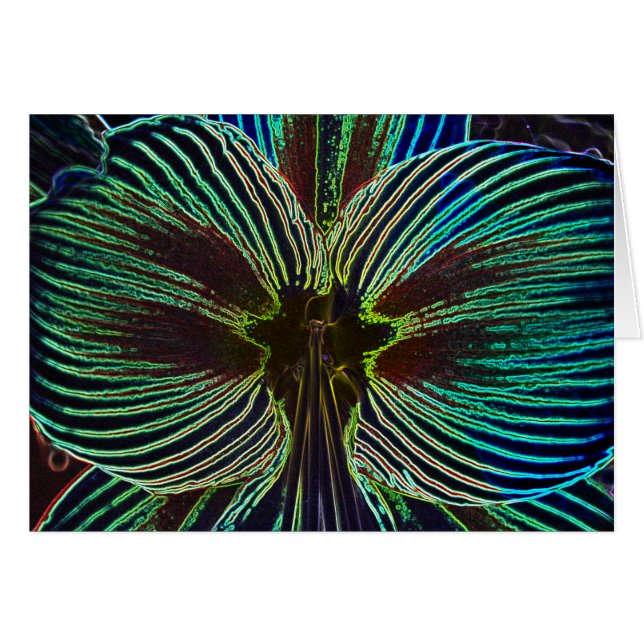 Neon Amaryllis (Vorderseite (Horizontal))