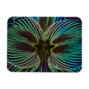 Neon Amaryllis Magnet