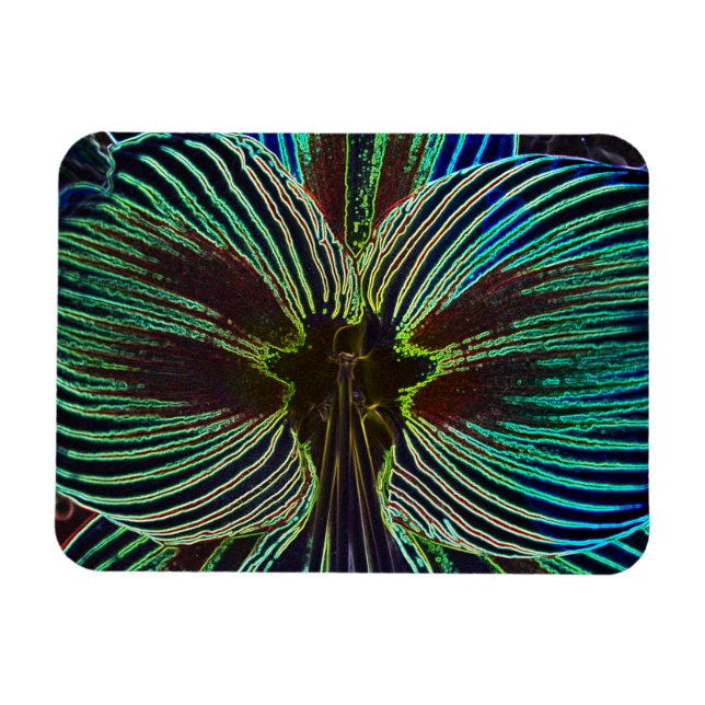 Neon Amaryllis Magnet (Horizontal)