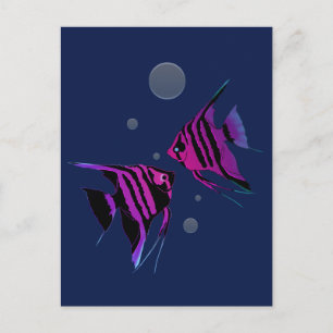 Neon Angelfish Postkarte