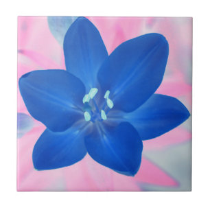 Neon Blue Lily Blume Rosa Hintergrund Fliese