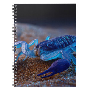 Neon Blue Scorpion Notebook Notizblock
