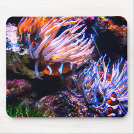 Neon Colors Clownfische Mousepad