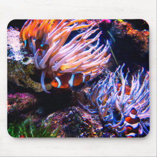 Neon Colors Clownfische Mousepad